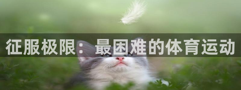 MK体育官方正版app神州：征服极限：最困难的体育运