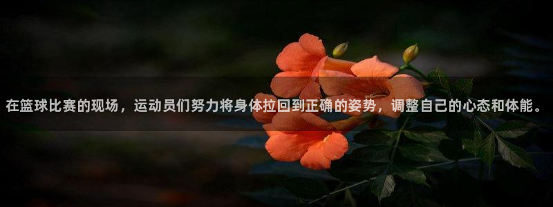 MK体育官方正版app集团E.ON：在篮球比赛的现场