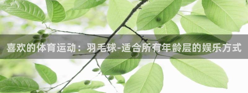 MK体育官方正版app娱乐是那个系列的台子：喜欢的体