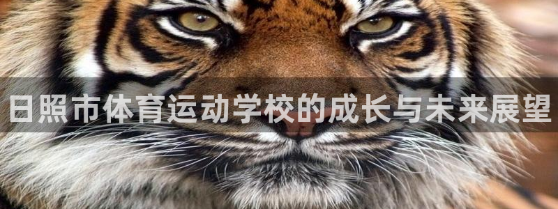 MK体育官方正版app娱乐网站：日照市体育运动学校的