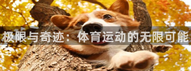 MK体育官网下载平台是正规平台吗安全吗：极限与奇迹：