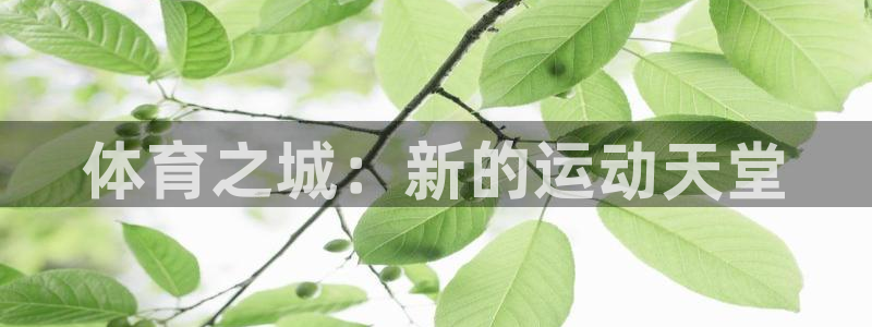 MK体育官网下载：体育之城：新的运动天堂