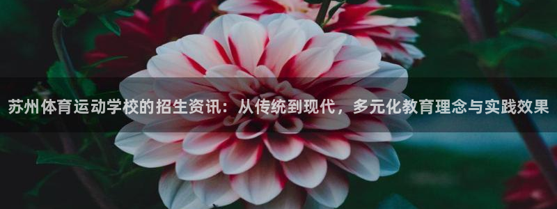MK体育官网下载平台是正规平台吗知乎：苏州体育运动学