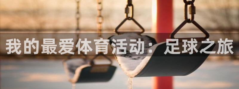 MK体育官方正版app集团E.ON：我的最爱体育活动