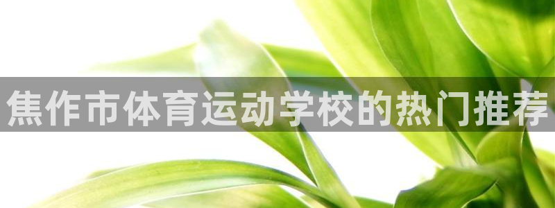 MK体育官网下载招商电话地址：焦作市体育运动学校的热