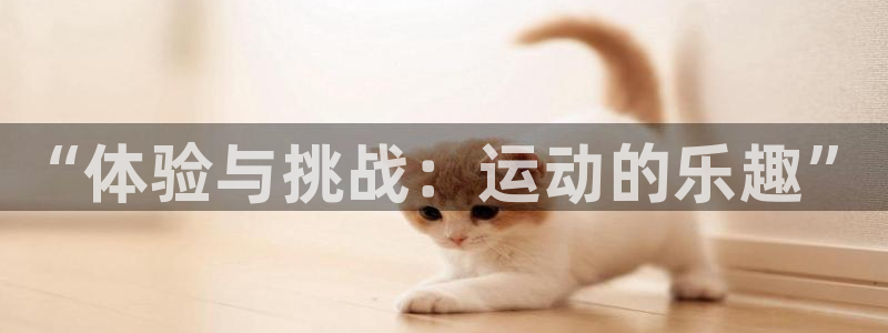 MK体育官网下载招商电话号码是多少号：“体验与挑战：