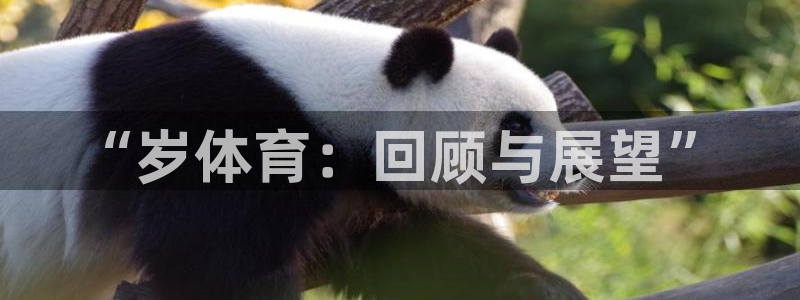 MK体育官网下载平台