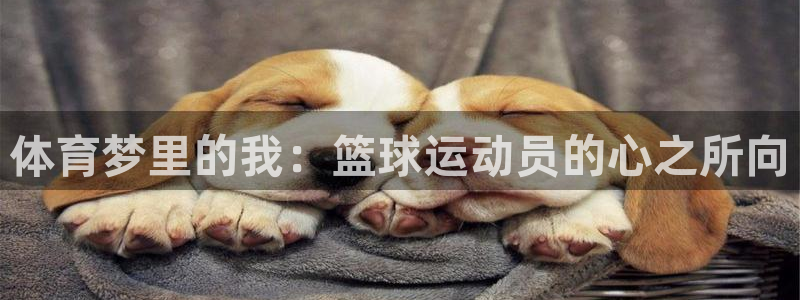 MK体育官网下载平台是正规平台吗安全吗