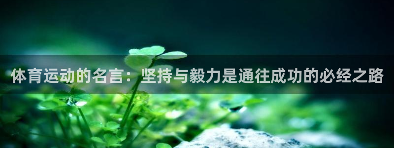MK体育官方正版app集团简介：体育运动的名言：坚持