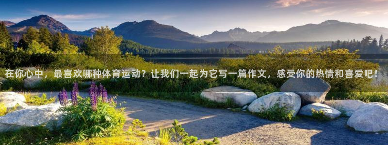 MK体育官网下载招商：在你心中，最喜欢哪种体育运动？