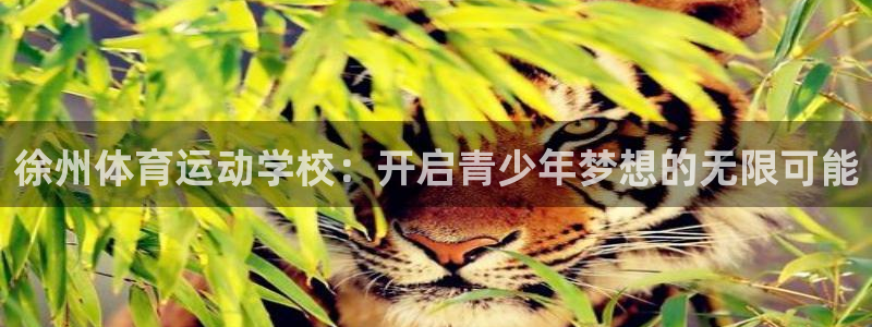 MK体育官方正版app娱乐下载