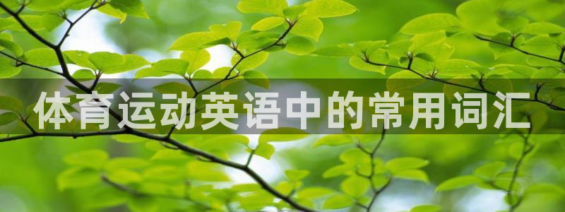 MK体育官网下载招商电话号码查询：体育运动英语中的常
