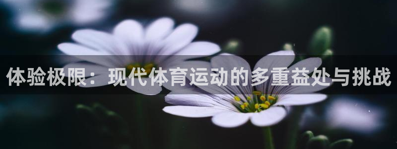 MK体育官网下载招商电话地址