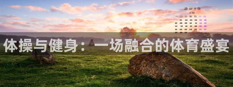 MK体育官方正版app集团简介