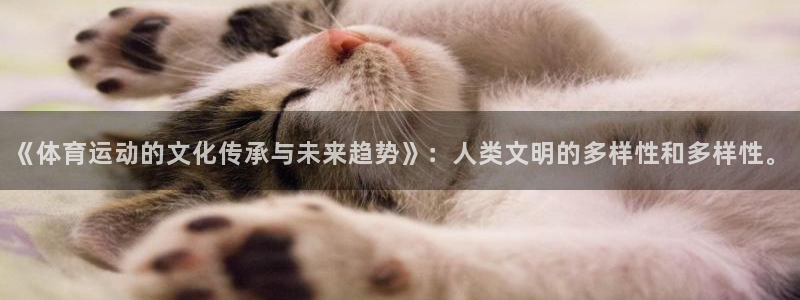 MK体育官网下载官方客服电话
