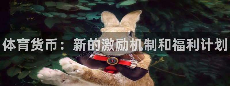 MK体育官网下载招商电话