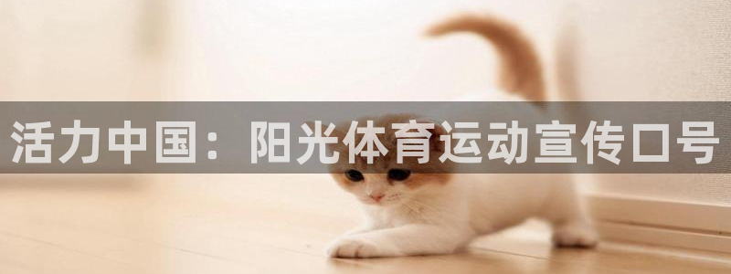 MK体育官网下载招商电话号码是多少号