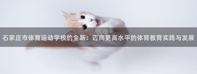 MK体育官网下载招商电话是多少啊：石家庄市体育运动学校的全新