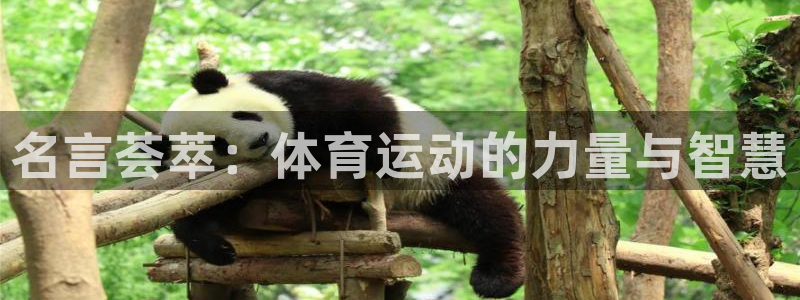 MK体育官网下载平台：名言荟萃：体育运动的力量与智慧