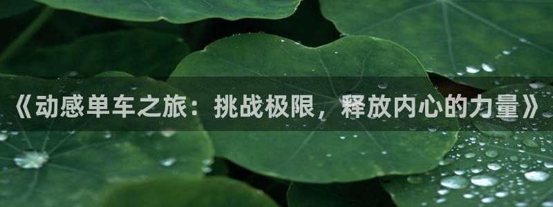 海南MK体育官网下载发展怎么样：《动感单车之旅：挑战极限，释